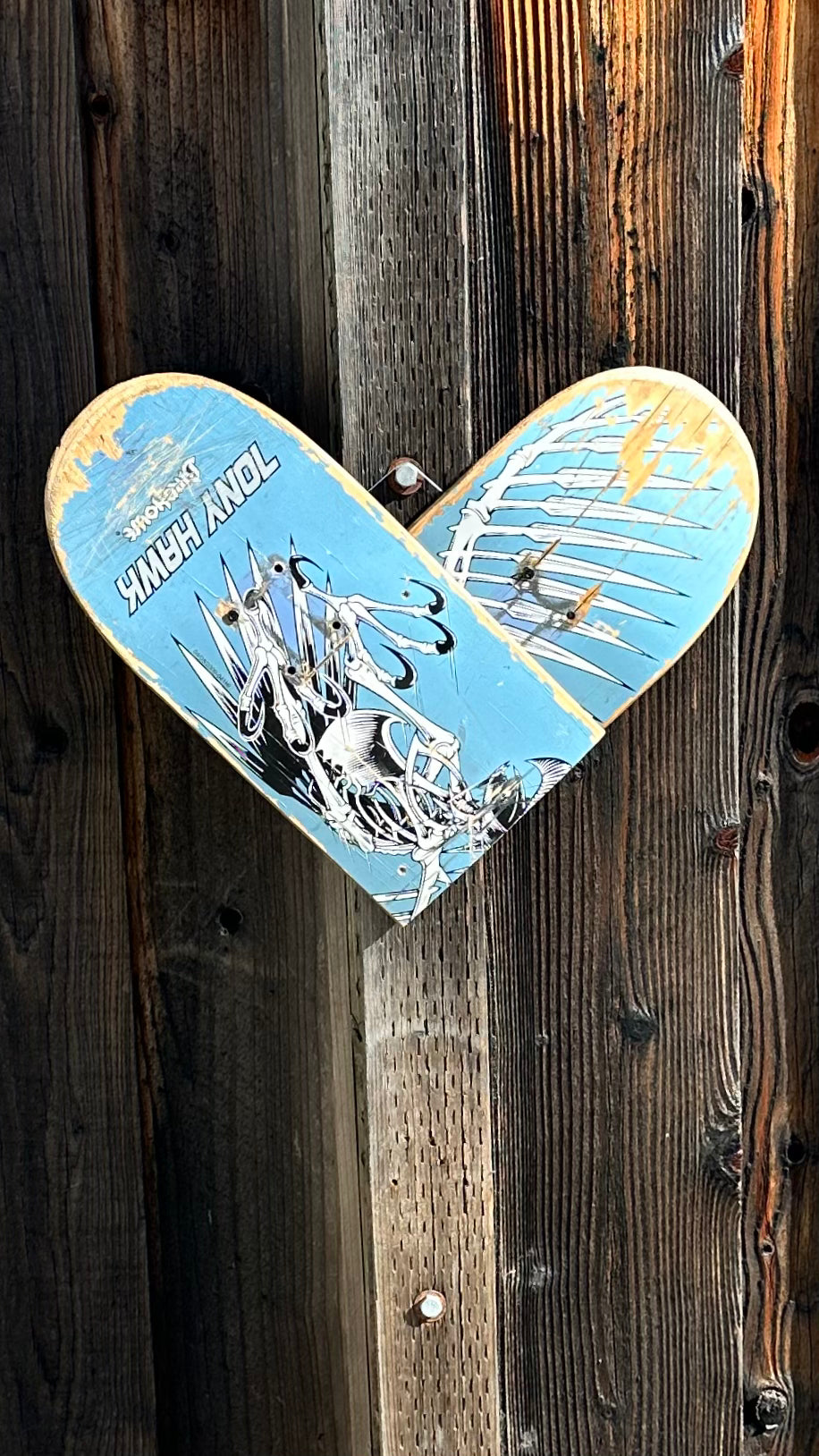 Blue Tony Hawk ♥️