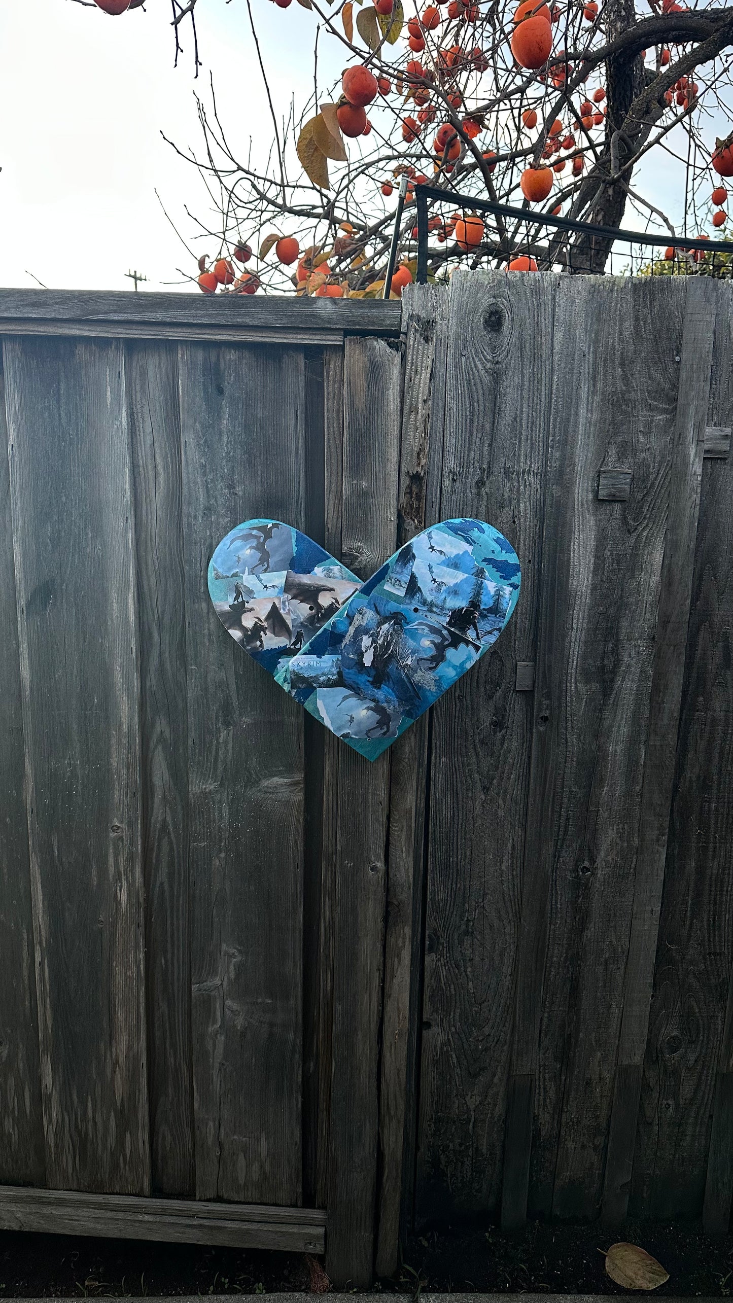 Skyrim 🩵💙