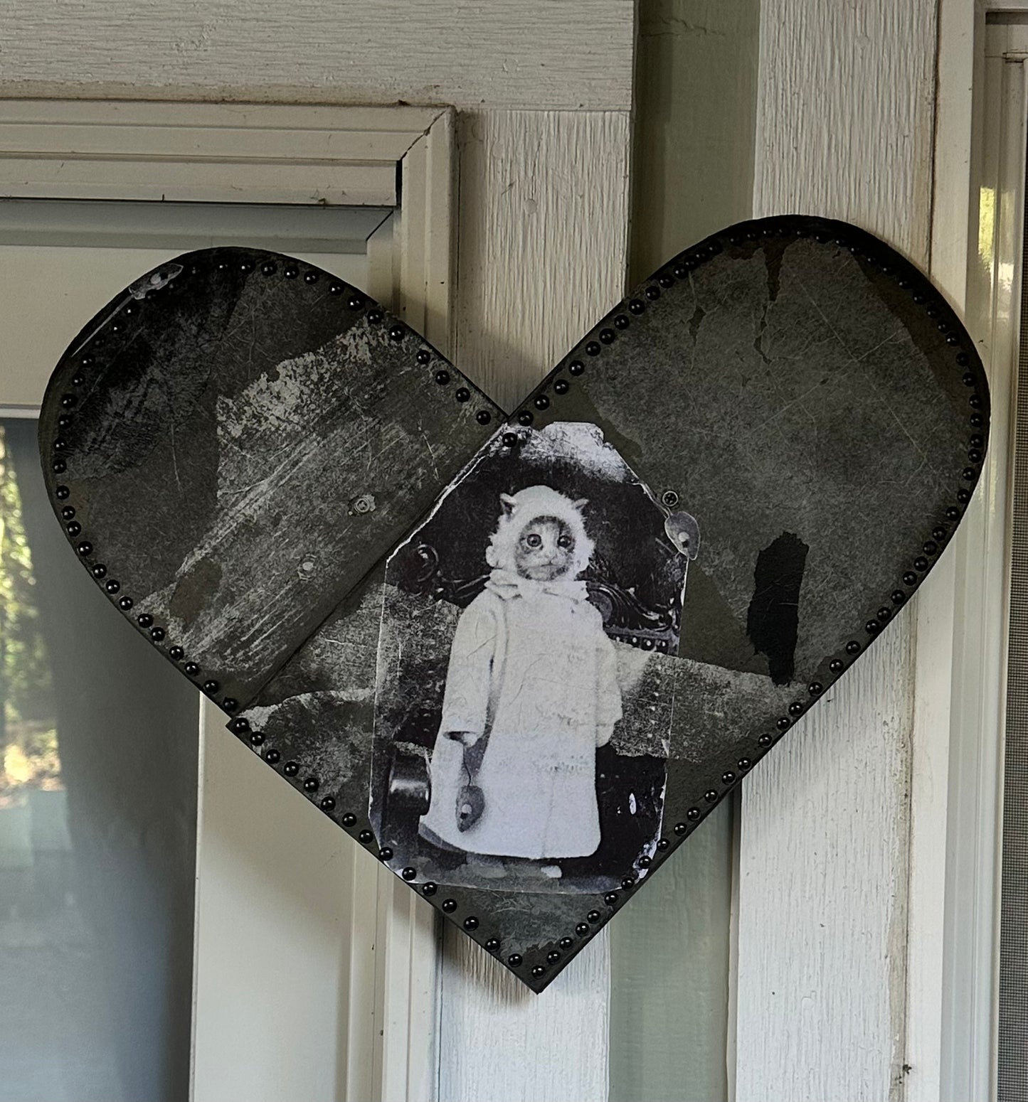 Good Kitty 🖤🩶🤍